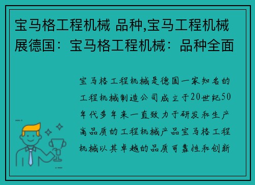 宝马格工程机械 品种,宝马工程机械展德国：宝马格工程机械：品种全面解析