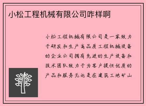 小松工程机械有限公司咋样啊