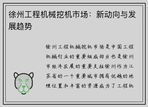 徐州工程机械挖机市场：新动向与发展趋势